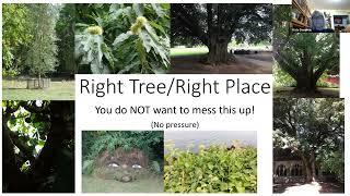 Right Tree, Right Place: TreeSteward Training Oct. 24, 2023