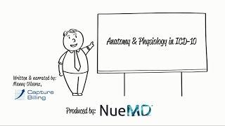 ICD-10 Basics: Anatomy & Physiology