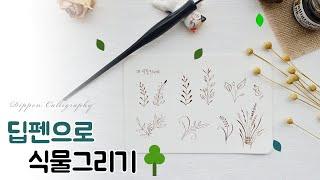 딥펜 캘리그라피 식물그리기로 손풀기 calligraphy drawing