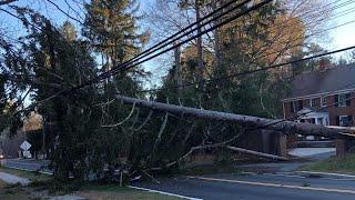 Wind gusts knock down trees and power lines in parts of Mass.