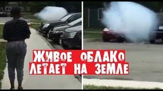 ОБЛАКО УПАЛО С НЕБА НА ЗЕМЛЮ / Как Такое Возможно?