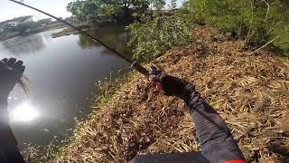 Snakehead fishing Philippines  #TEAM EUPRO