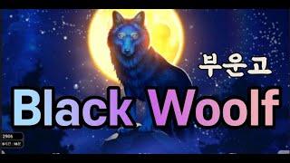 ^부운고^블랙울프 BLACK WOOLF 생활슬롯영상!!!