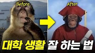 개강하는 새내기들 주목