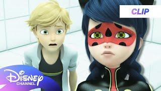 Miraculous World, London: At The Edge Of Time | Ladybug Tells Adrien | @disneychannel