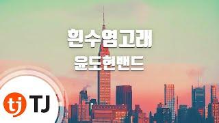 [TJ노래방] 흰수염고래 - 윤도현밴드 / TJ Karaoke