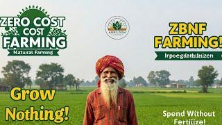 Zero Budget Natural Farming Explained  | Grow More, Spend Nothing!