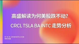 高盛解读为何美股跌不动？CRCL/TSLA/BA/INTC走势分析