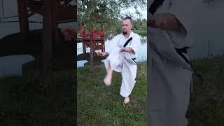 Kanshu kata 完周 Dai ni Seisan / Dzen territory Shaolin / Uechi ryu Karate Hozonkai