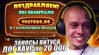 ВИТУС ЗАНОСЫ в DOG HOUSE, ZEUS vs HADES / ЗАНОС ВИТУСА по 20к