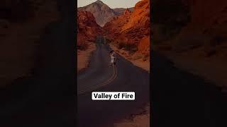 Our Fave Photos From Valley of Fire #valleyoffire #travelphotography