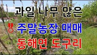 127-1. 도구리 주말농장매매 포항주말농장매매 도구리 전매매 동해면 주말농장매매 포항부동산 동해부동산 과일나무 많은 주말농장매매 동해주말농장매매 밭매매 포항밭매매 포항땅매매