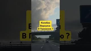 почему Колобок вернулся в Германию? #беженцыизукраины #trip #путешествие #Одесский бродяга