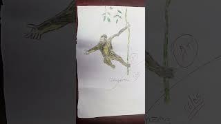 chimpanzee drawing