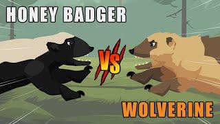 Wolverine vs Honey Badger | Woodland vs Savannah Animals [S1] | Animal Animation