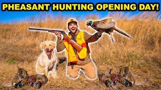 DOUBLE BARREL Shotgun PHEASANT Hunting CHALLENGE!!! (Catch Clean Cook)