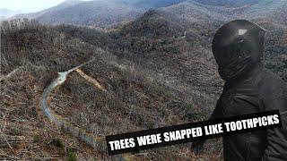 I Witnessed the WORST Storm Damage at the Blue Ridge Parkway!