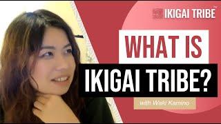 Discovering Ikigai Tribe: Uniting enthusiasts of Japanese culture