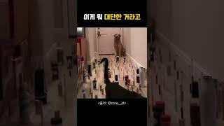 이게 뭐 대단한 거라고
