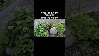 주 예수 이름 소리 높여 (찬송356장) 무반주