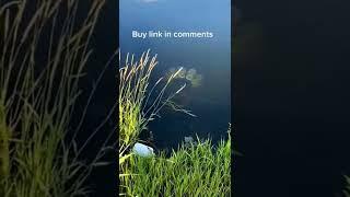 Subscribe my channel |Global Tech Hub|#shorts #gadgets #toys #tech #homegadgets