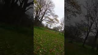 Dji Avata fpv drone in the park.