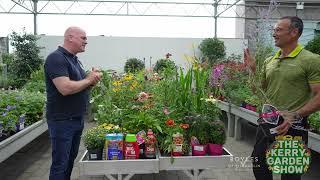 Keeping your garden full of colour - The Kerry Garden Show