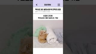 백수3년차 욕 안먹는 비결ㅋㅋㅋ #웃긴영상 #각종유머 #shorts