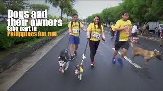 Dogs and their owners take part in Philippines fun run