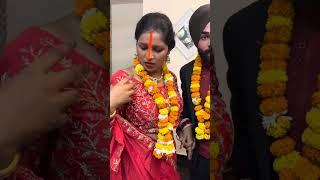 Ankita Karotiya #sujeetanku #ankitakarotiya #love #ankita #comedy #royaltiger #shortvideo #unfrezzmy