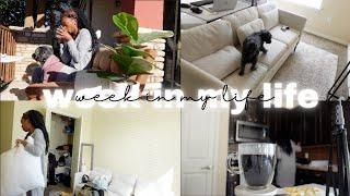 we moved...again! a week in my life | our new, bigger el paso apartment!