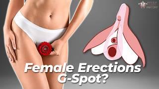 Female Erections Part 2 - The G-Spot