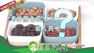 花生浑身都是宝！花生应该生吃还是熟吃？花生要不要带皮吃？花生发芽还能吃吗？|《名医话养生》Doctor Who 20210430【东方卫视官方频道】