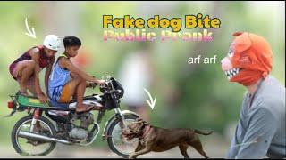 FAKE DOG BITE "PUBLIC PRANK" | Akala nila nakagat talaga sila 