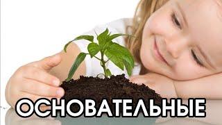 Соционика: основательные