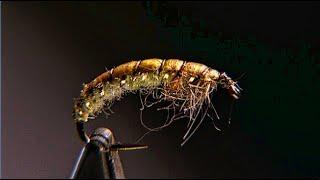 Oliver Edwards Ties the Czech Nymph Fly Pattern