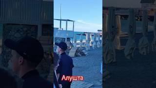Крым сегодня