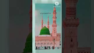 mohammad shahid madina Sharif #mashallah #duist