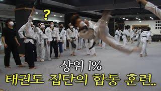 국내 최고의 팀들의 만남 [태권한류&미르메] Joint training with the best Taekwondo teams in Korea.