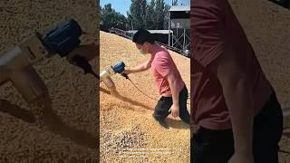 Efficient grain handling techniques- Good tools and machinery can increase work efficiency