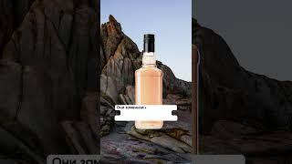 Самый дружелюбный конфликт в мире