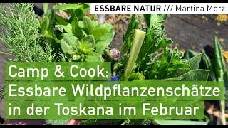 Wildkräuterernte Frühjahr mit dem Camper, Toskana / Essbare Pflanzen sammeln. Bestimmen. Zubereiten.