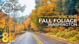 8K Wild Forest Roads of Washington State - 360° VR Scenic Autumn Drive on Skate Creek Road N