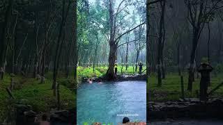 Kerala Monsoon vs summer