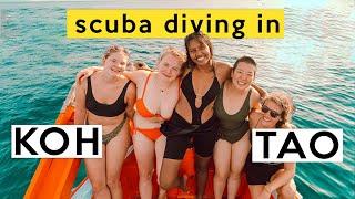 The COMPLETE GUIDE to Scuba diving in Koh Tao Thailand