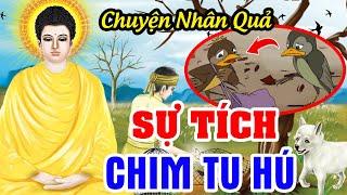 Chuyện Nhân Quả Mới Nhất, Sự Tích Chim Tu Hú | Quả Báo Hiện Đời ... Gieo Nhân Ắt Gặt Quả