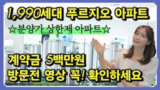 평택 브레인시티 푸르지오 1990세대 분양가상한제 적용 아파트 계약금 5백만원 #경기도미분양아파트