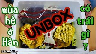 Unbox thùng trái cây đông lạnh| Sống ở Hàn có gì vui? MoHanh Vlog