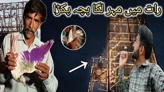 ناصر نے رات میں 2 کبوتر پکڑے   - Apna Shok apni pachan - Nasir pigeon club