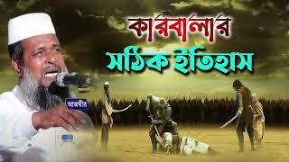 কারবালার সঠিক  ইতিহাস । তোফাজ্জল হোসেন ভৈরবী । tofazzal hossain bhairovi | bangla waz |